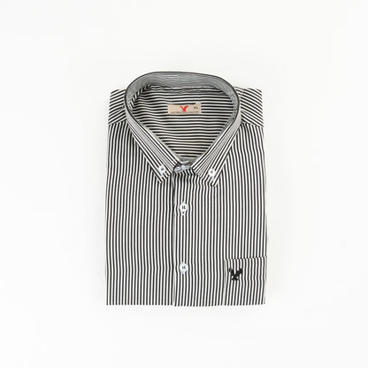 AE Striped  Shirt